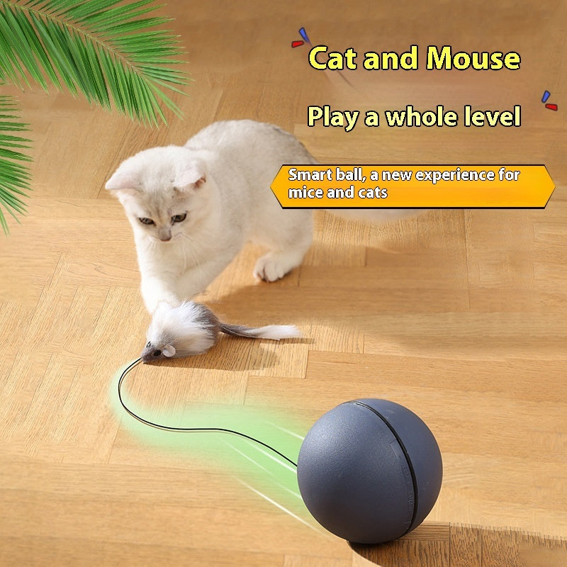 Electric Moving Mouse Teaser Ball Interactive Pet Toy