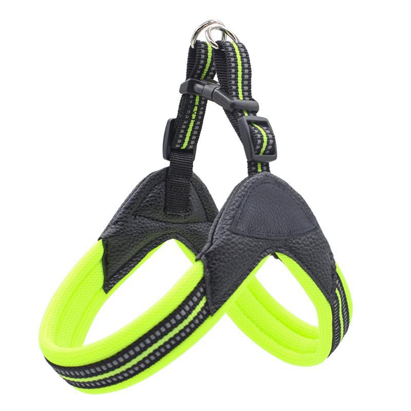 Pet Chest Harness And Leash Traction Set