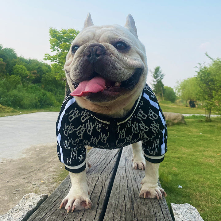 Zip-Up Stretchy Pet Jacket Clothes