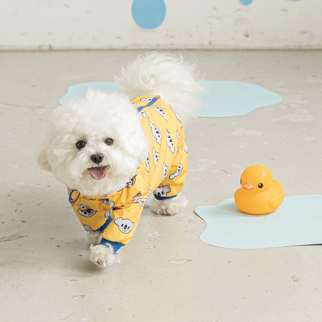 Fashion Waterproof All-Around Pet Raincoat