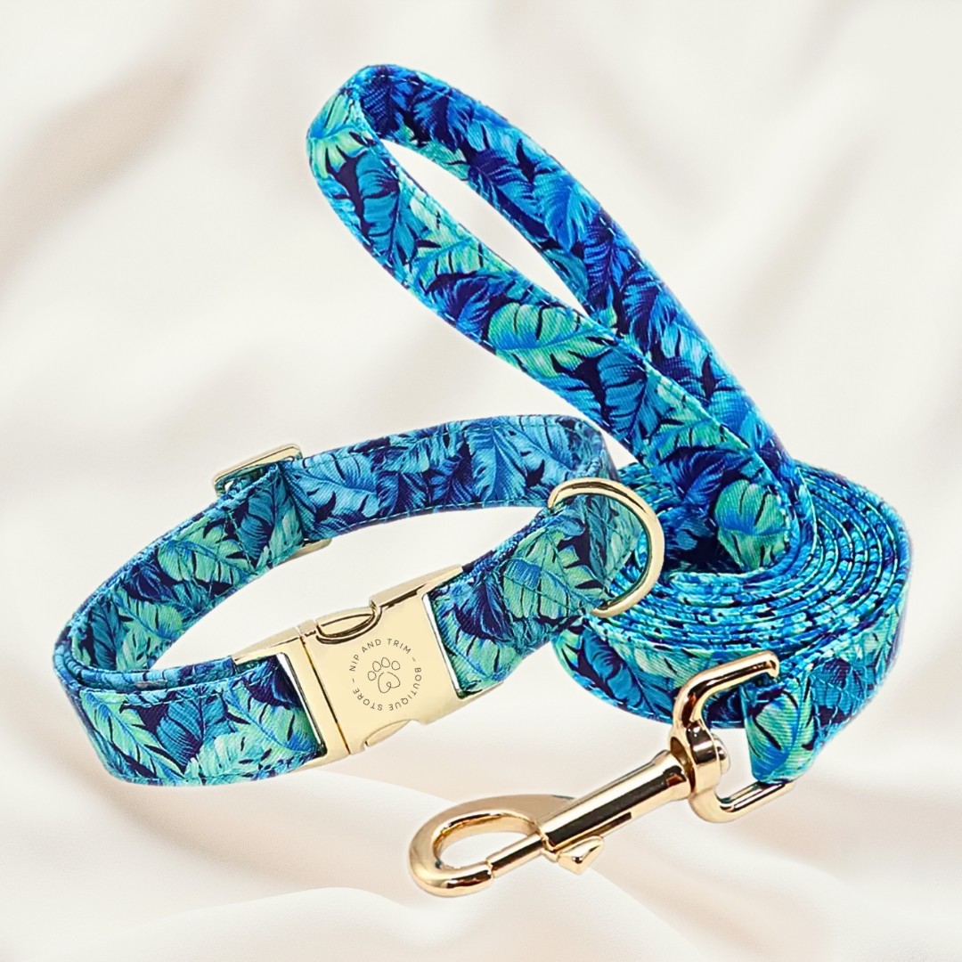 Custom Pet Collar With Engraved ID Tag And Lettering
