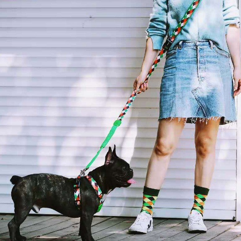Multifunctional Shock Absorbing Pet Leash For Comfortable Walking