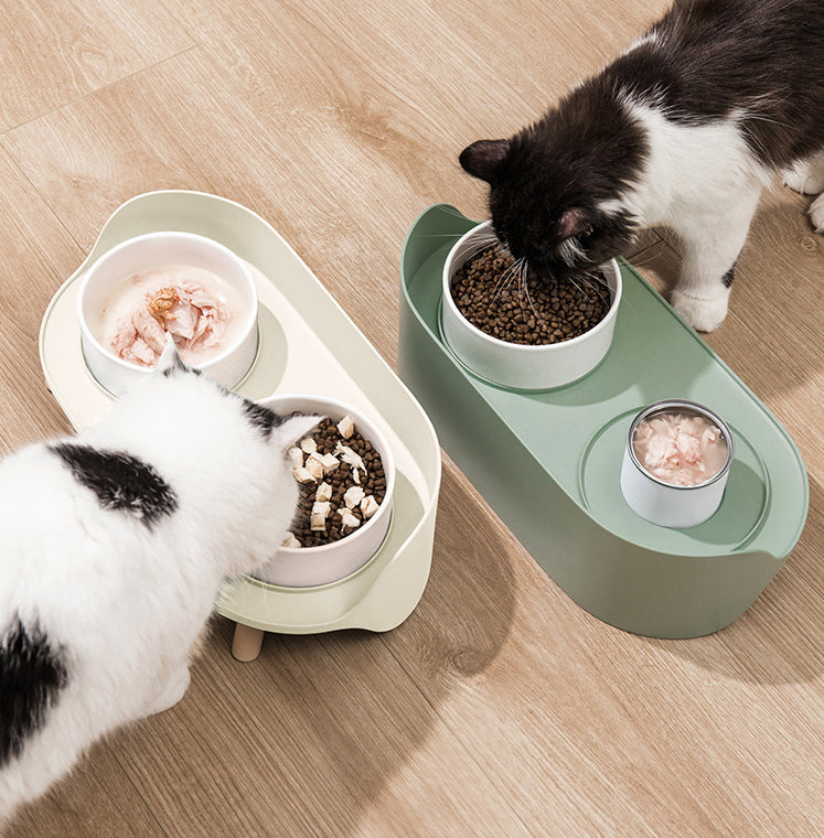 Tilted Double Pet Feeding Bowl Adjustable Spill Proof Design