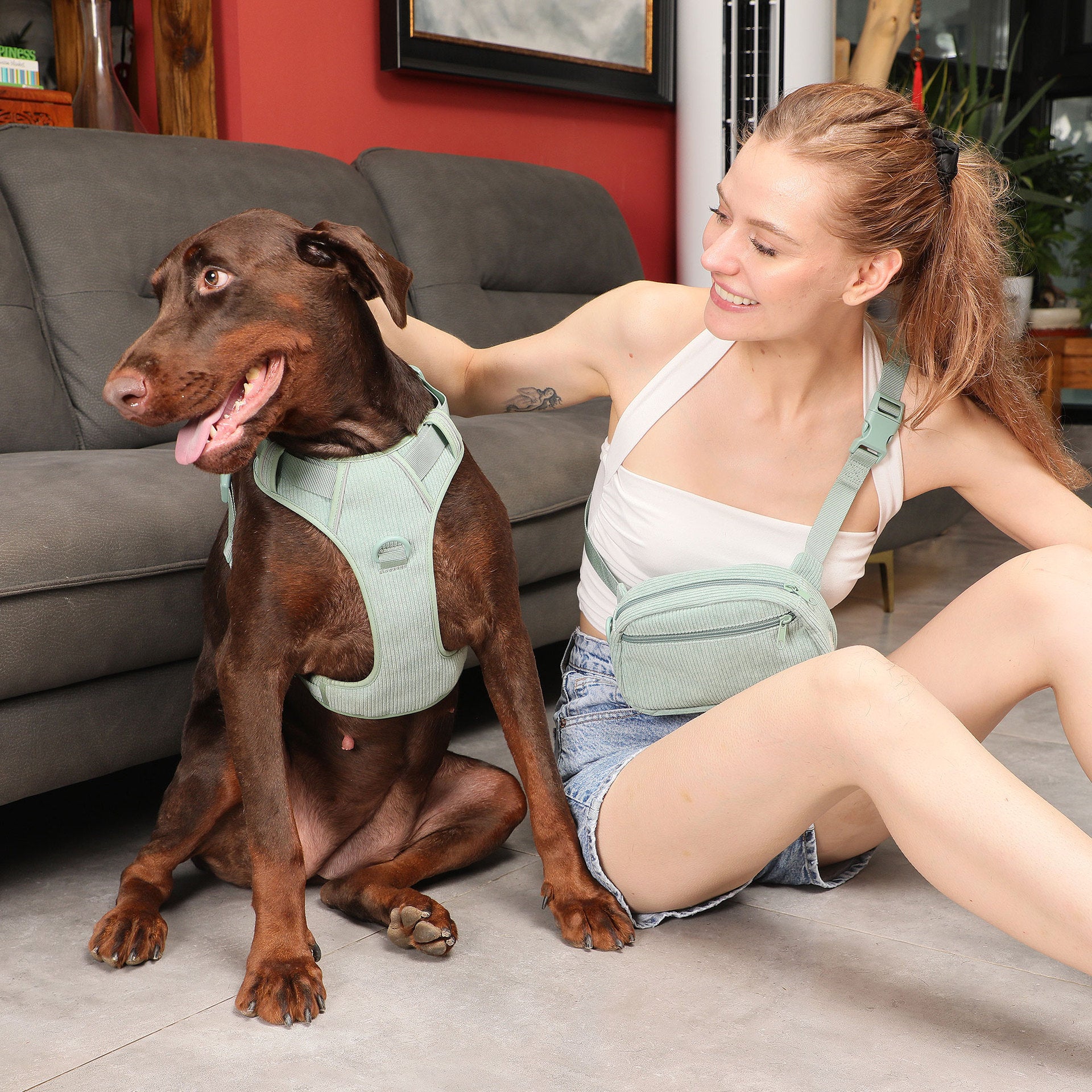 Heavy Duty Pet Harness With Collar And Leash Set
