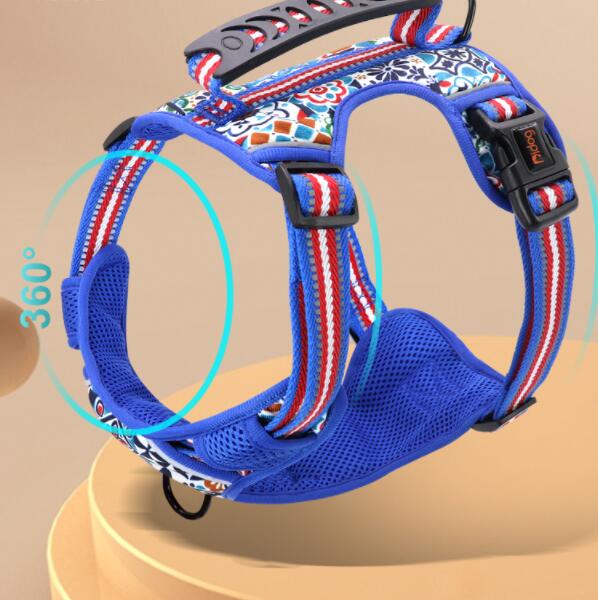 Adjustable Pet Leash and Chest Harness