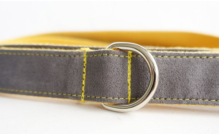 Medium To Large Pet Collar And Leash Set