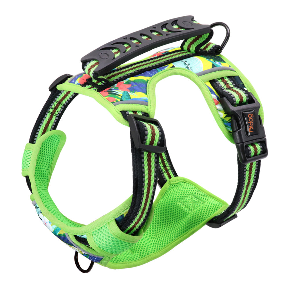 Adjustable Pet Leash and Chest Harness