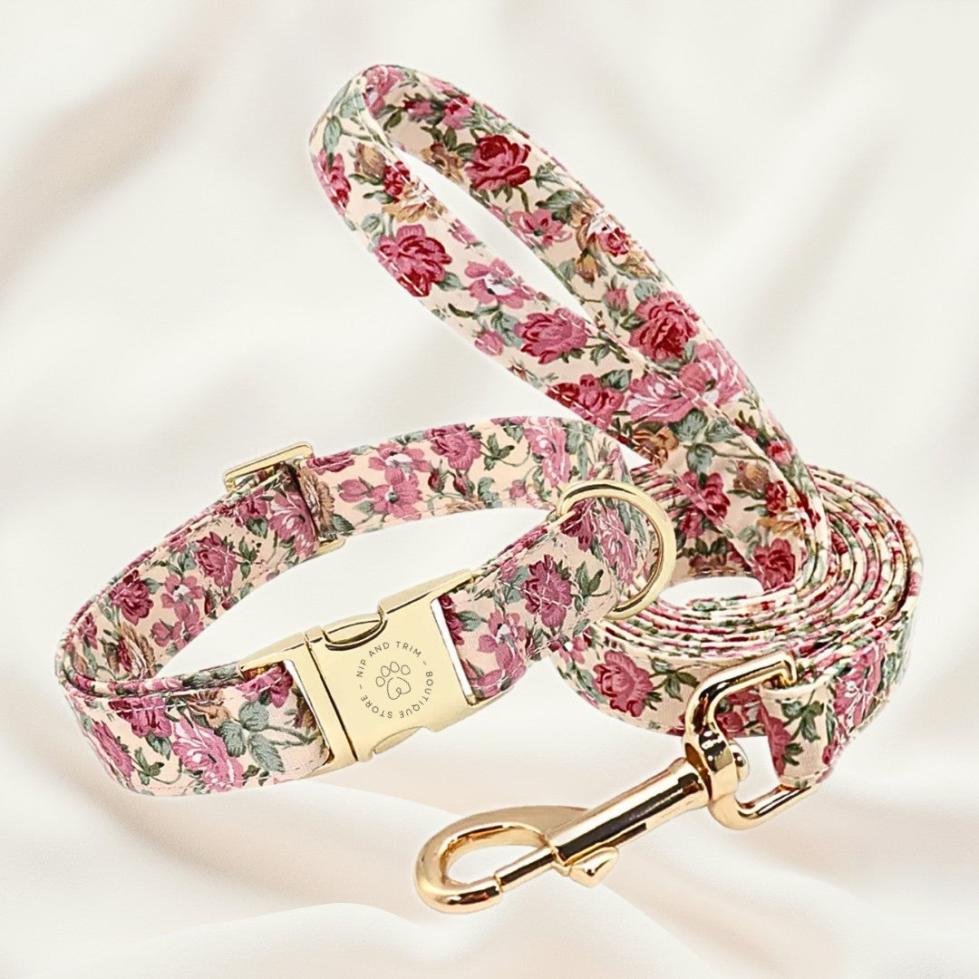 Custom Pet Collar With Engraved ID Tag And Lettering