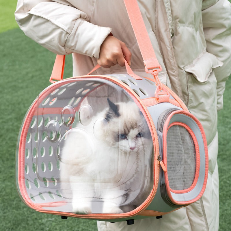 Transparent Pet Carrier Space Capsule Backpack For Travel