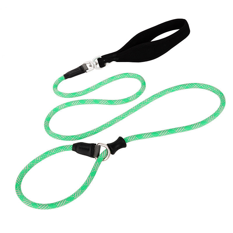 Simple Fashion Pet Leash With Heavy Duty Design