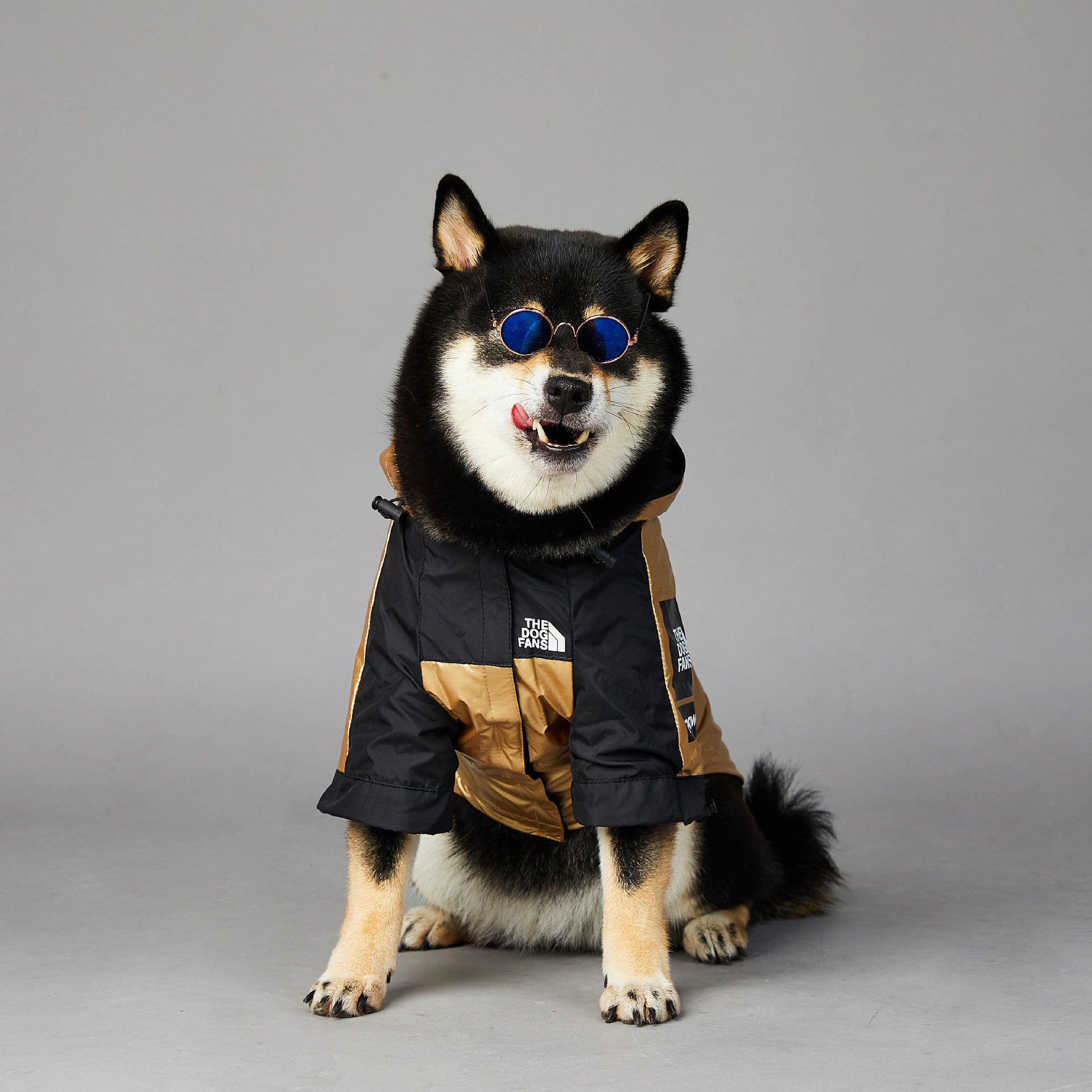 Large Size Pet Raincoat Jacket