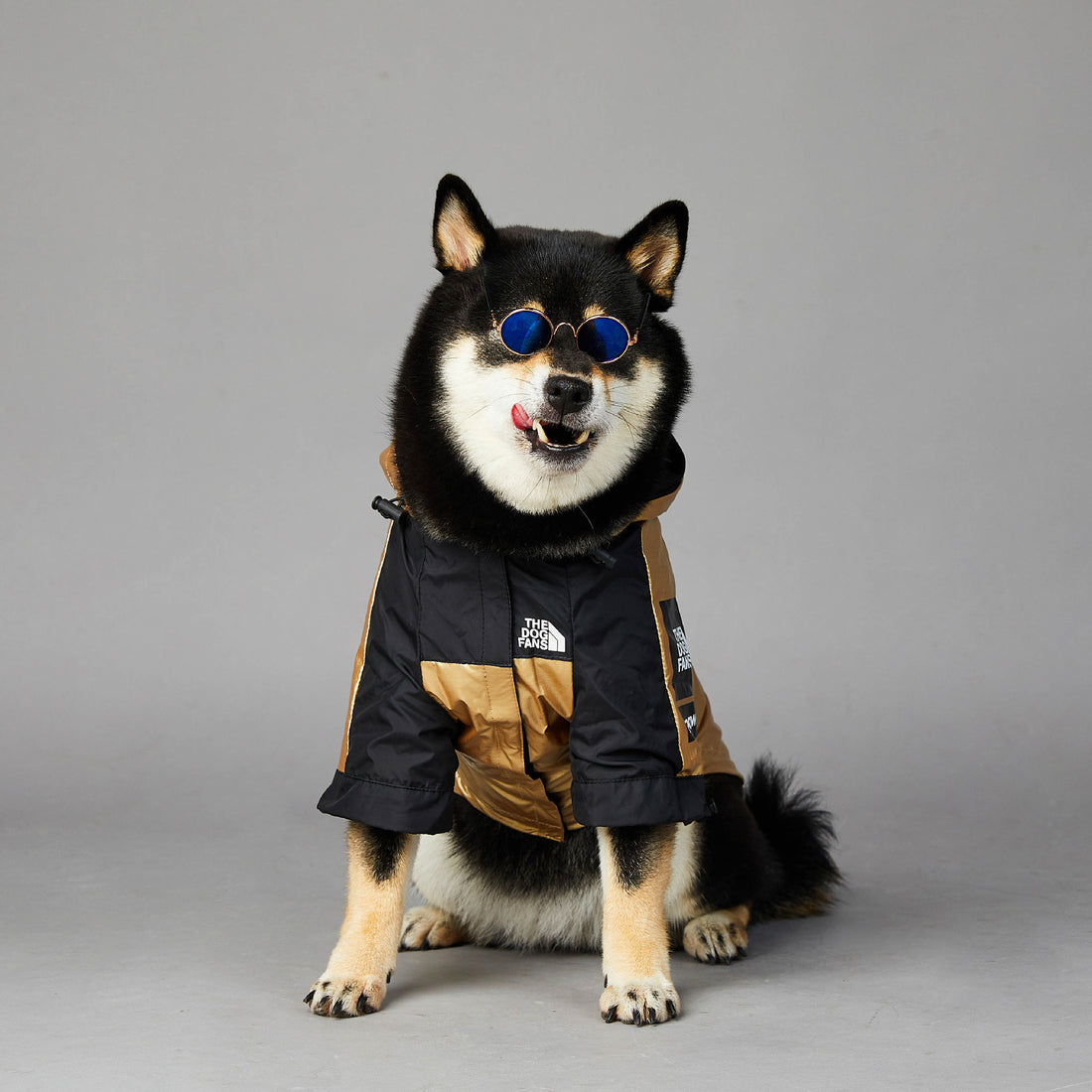 Large Size Pet Raincoat Jacket