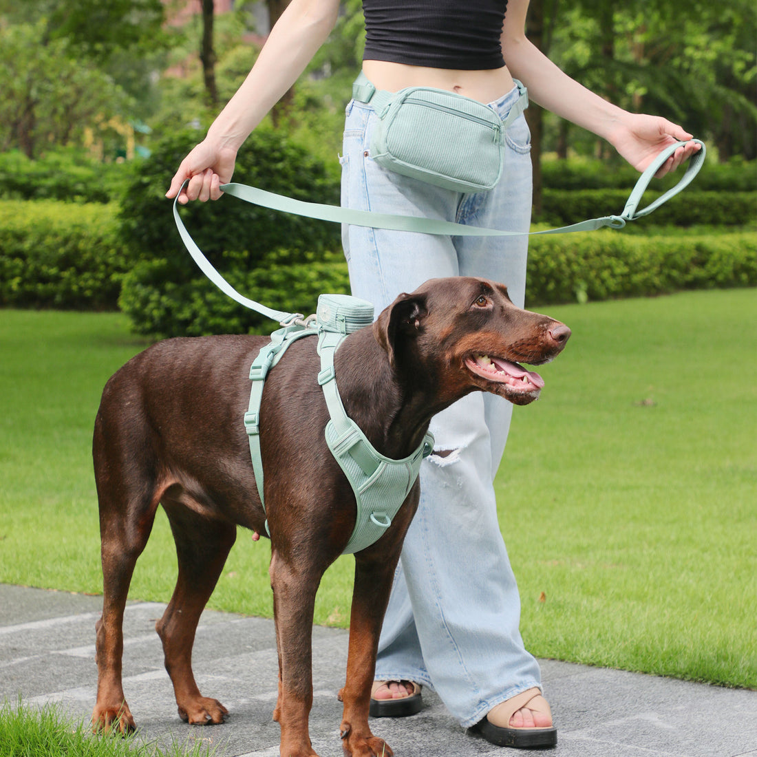 Heavy Duty Pet Harness With Collar And Leash Set