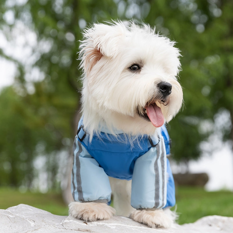 Autumn Winter Windproof Waterproof Pet Four-Leg Coat