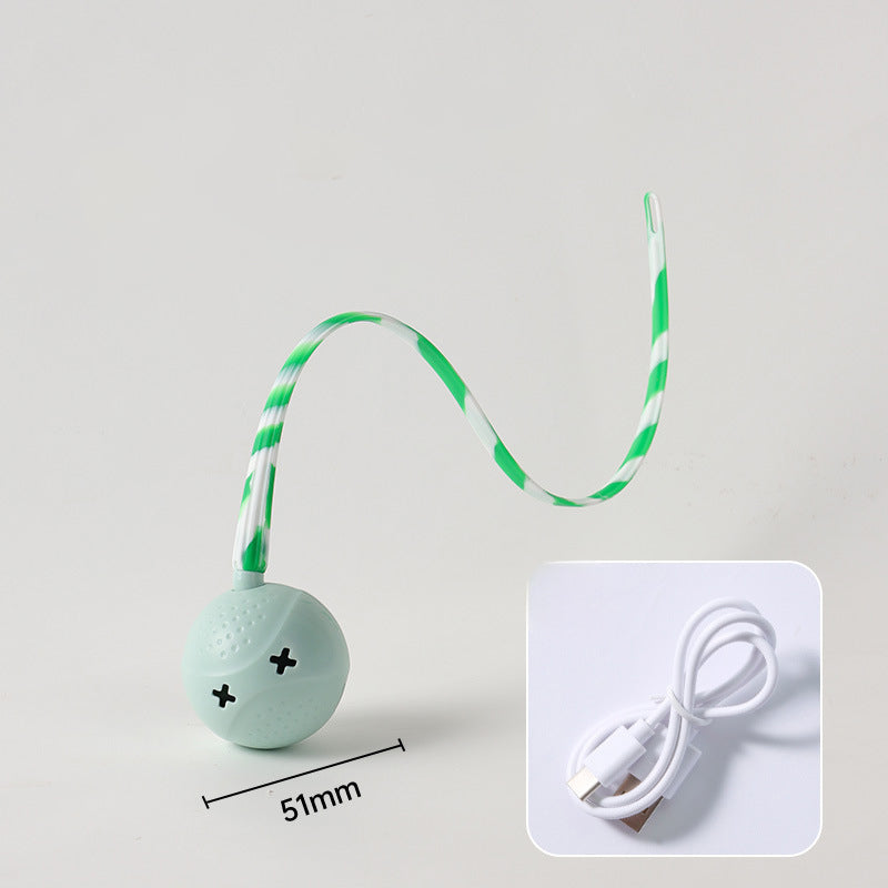 Interactive Electric Motion Activated Ball Toy With Touch Sensor