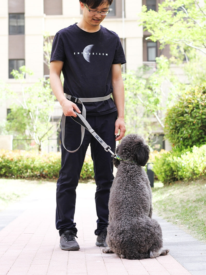 1.8M Multifunctional Pet Leash For Running And Training