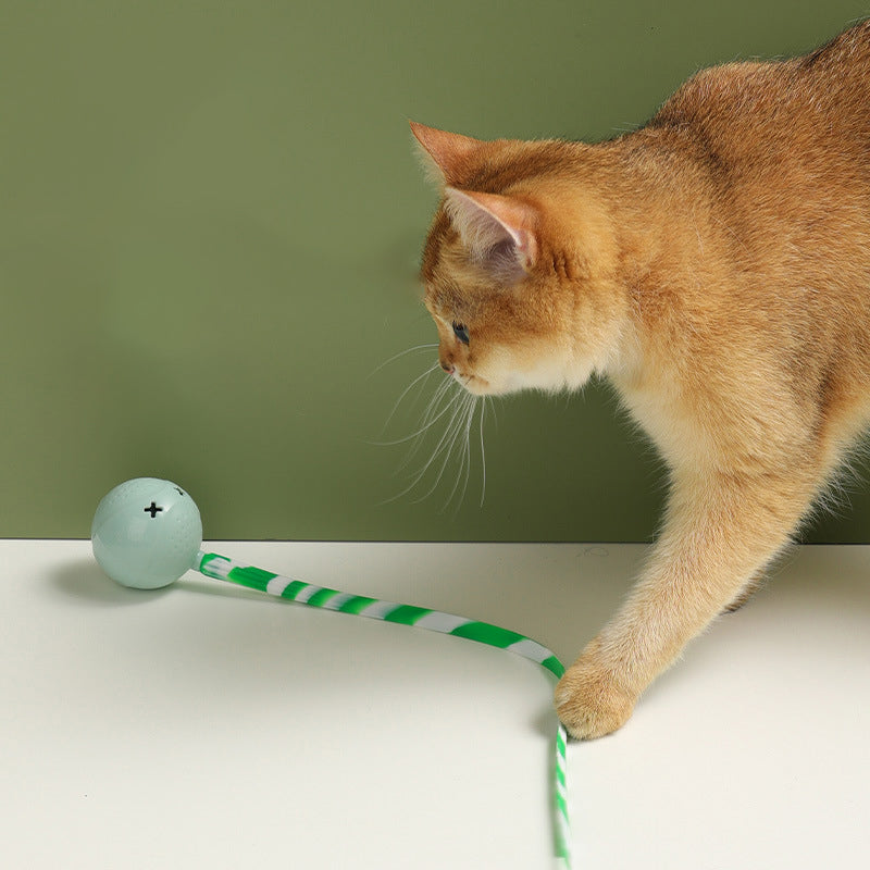 Interactive Electric Motion Activated Ball Toy With Touch Sensor
