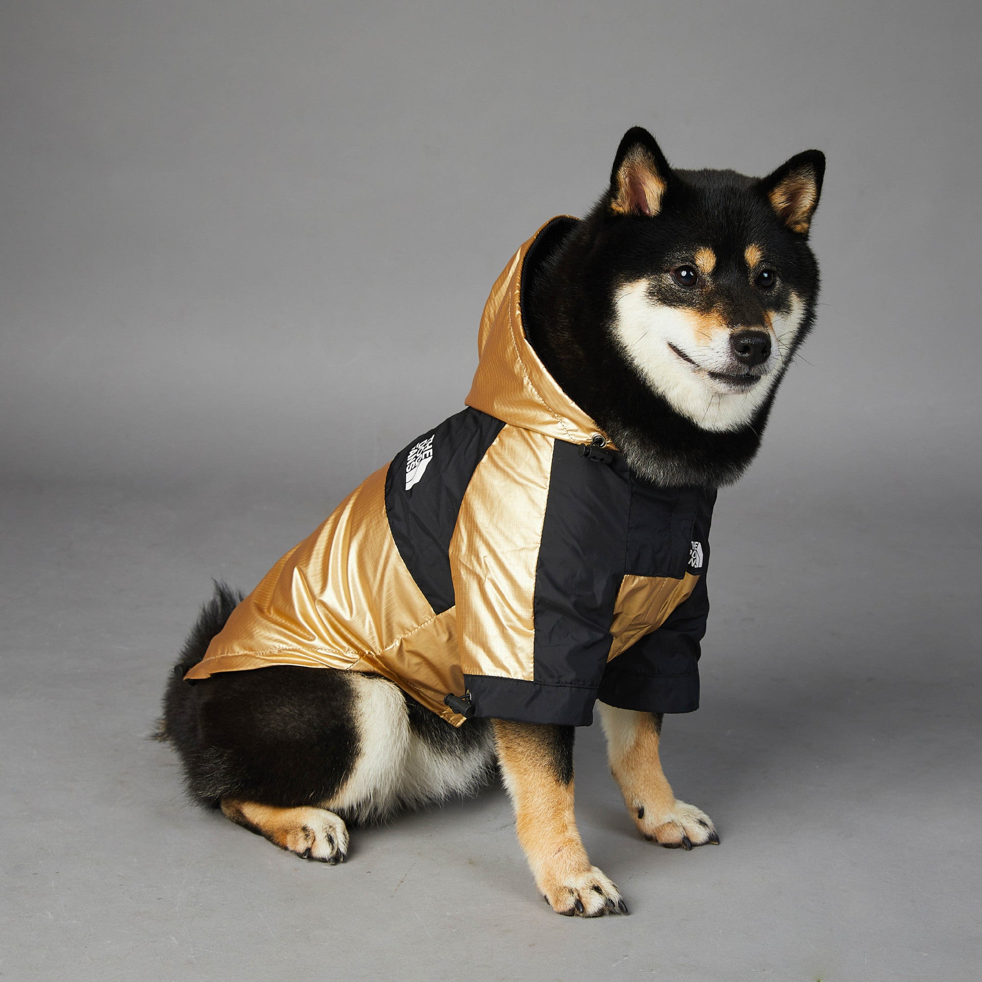 Large Size Pet Raincoat Jacket