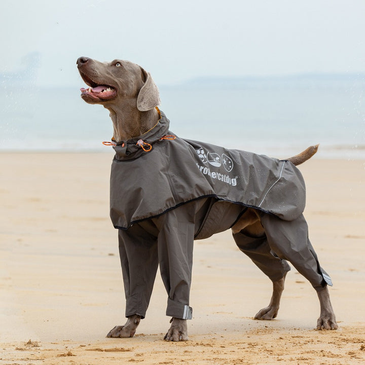 Four-Legged Waterproof Pet Raincoat Poncho