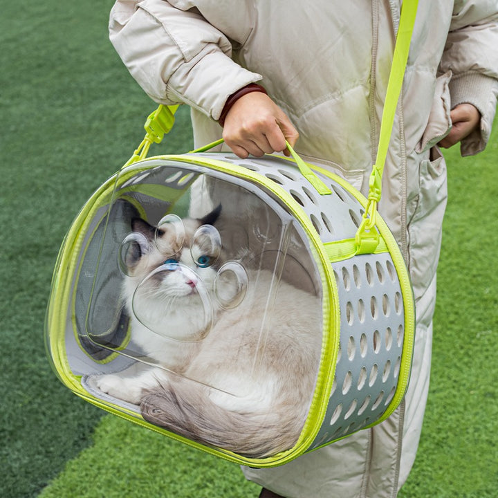 Transparent Pet Carrier Space Capsule Backpack For Travel