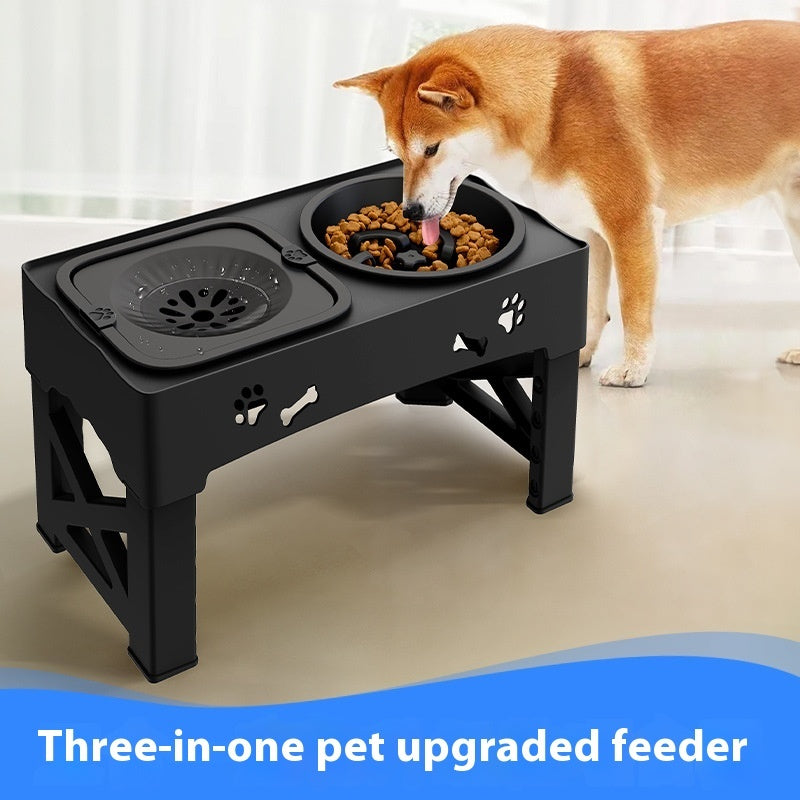Elevated Double Stainless Steel Pet Feeder Bowl Set
