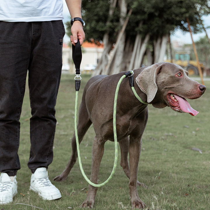 Simple Fashion Pet Leash With Heavy Duty Design