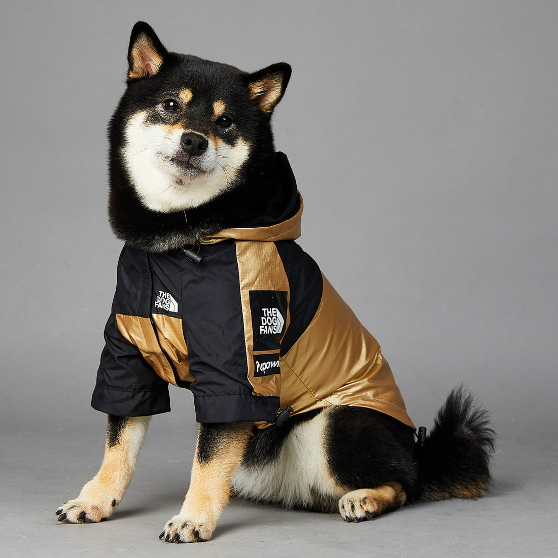 Large Size Pet Raincoat Jacket