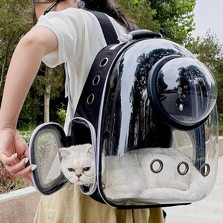 Pet Transparent Skylight Breathable Large Capacity Backpack Bag