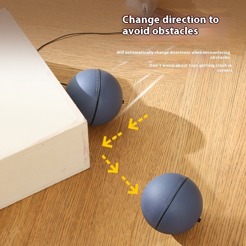 Electric Moving Mouse Teaser Ball Interactive Pet Toy