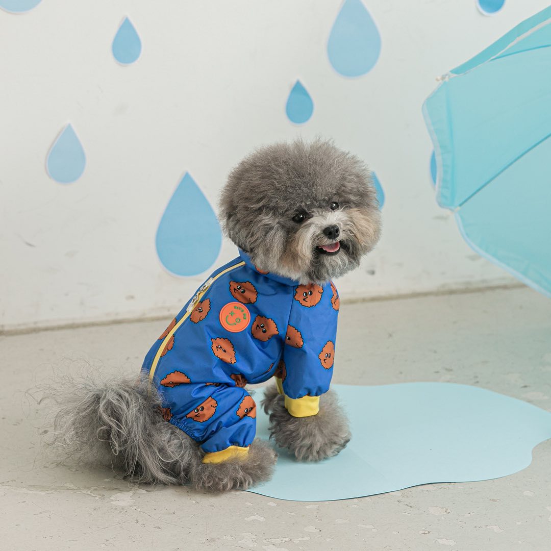 Fashion Waterproof All-Around Pet Raincoat