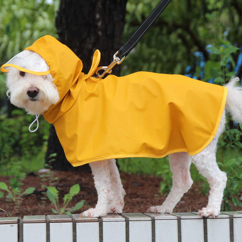 Transparent Brim Pet Raincoat With Bellyband