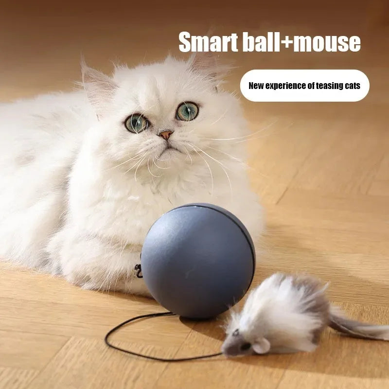 Electric Moving Mouse Teaser Ball Interactive Pet Toy