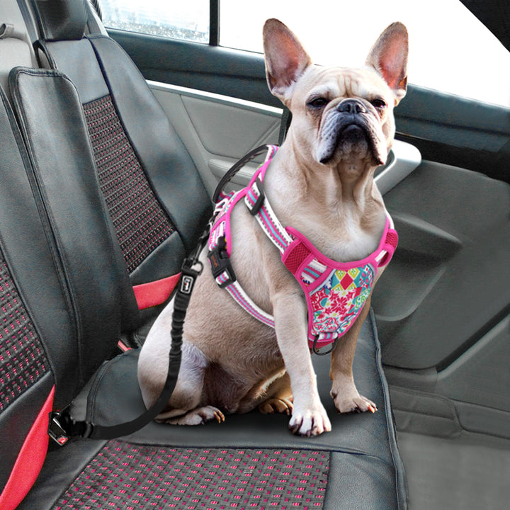 Adjustable Pet Leash and Chest Harness