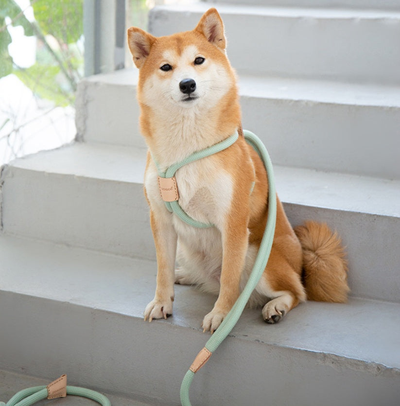 Dual Purpose Round Rope Pet Leash With Integrated Design
