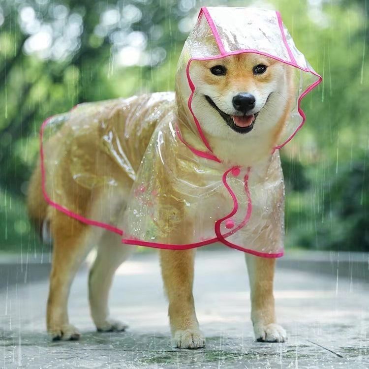 Transparent Pet Raincoat For Medium Large Pets