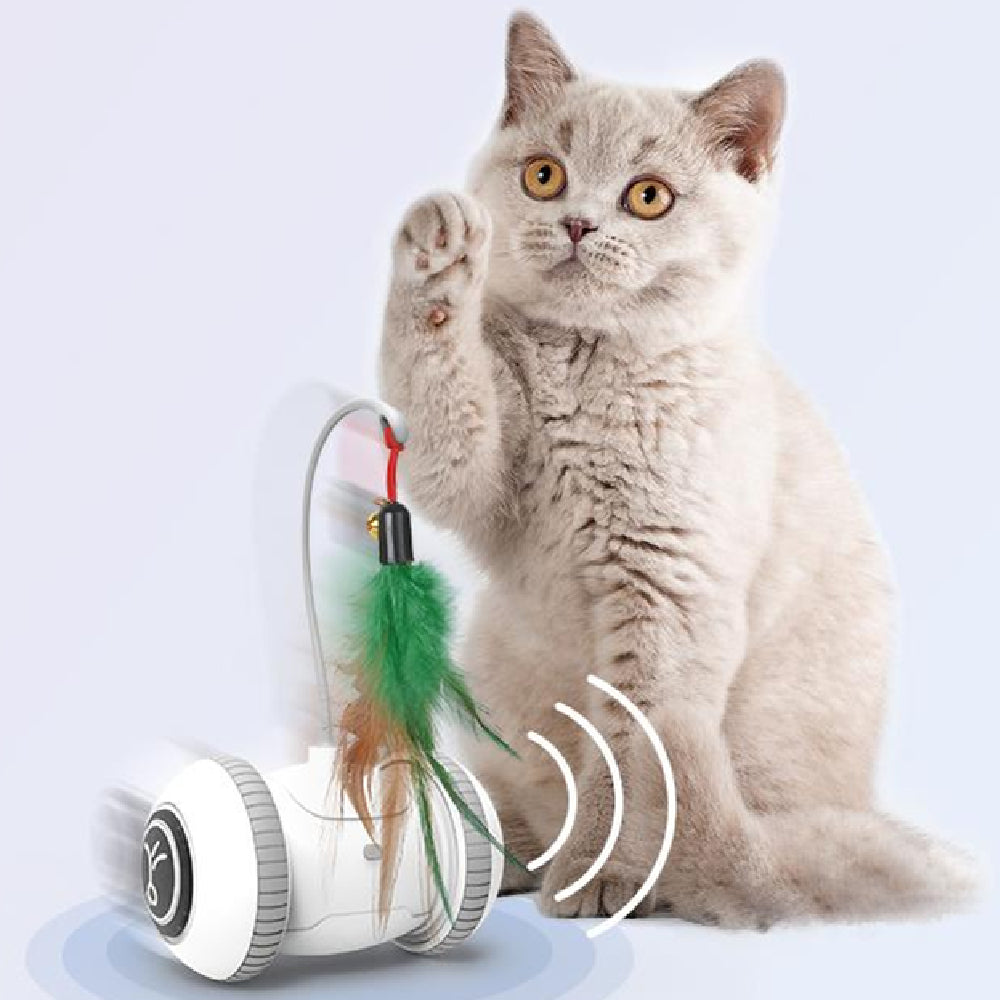 Interactive Pet Toy With Interchangeable Heads Feather Teaser Toy